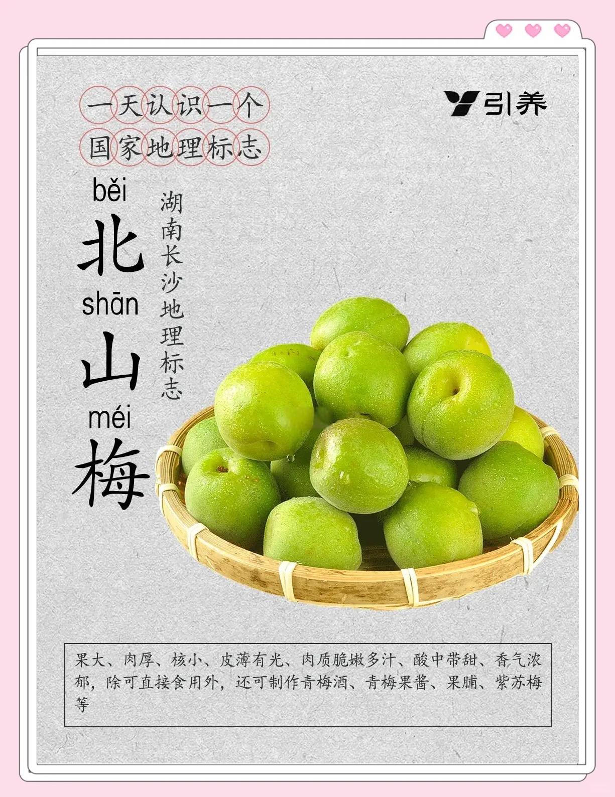 北山梅
