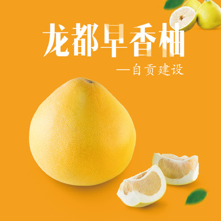 贡井龙都早香柚