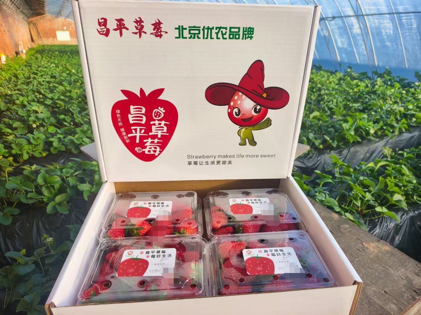北京昌平区产区