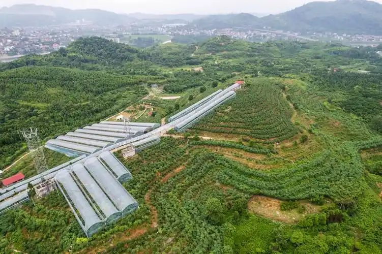 四川南充南部县产区