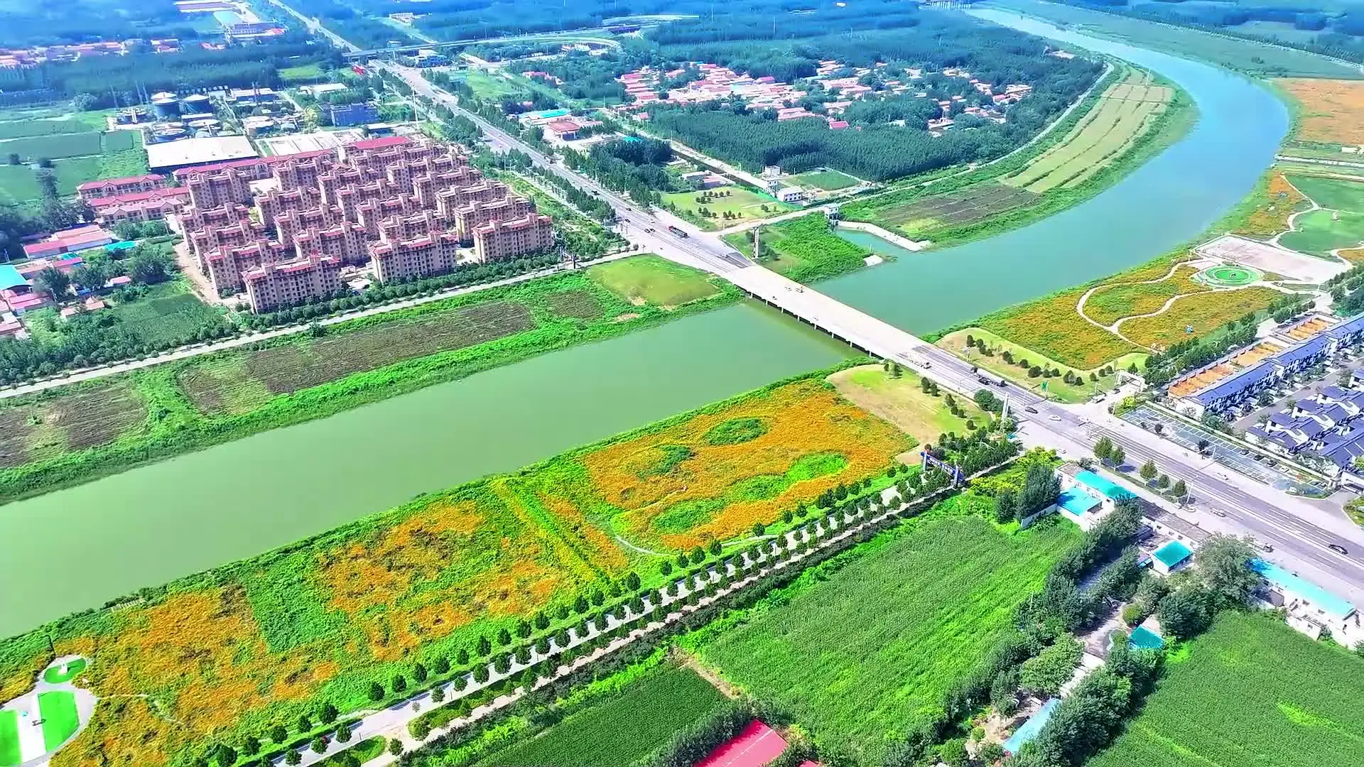 山东德州乐陵市产区