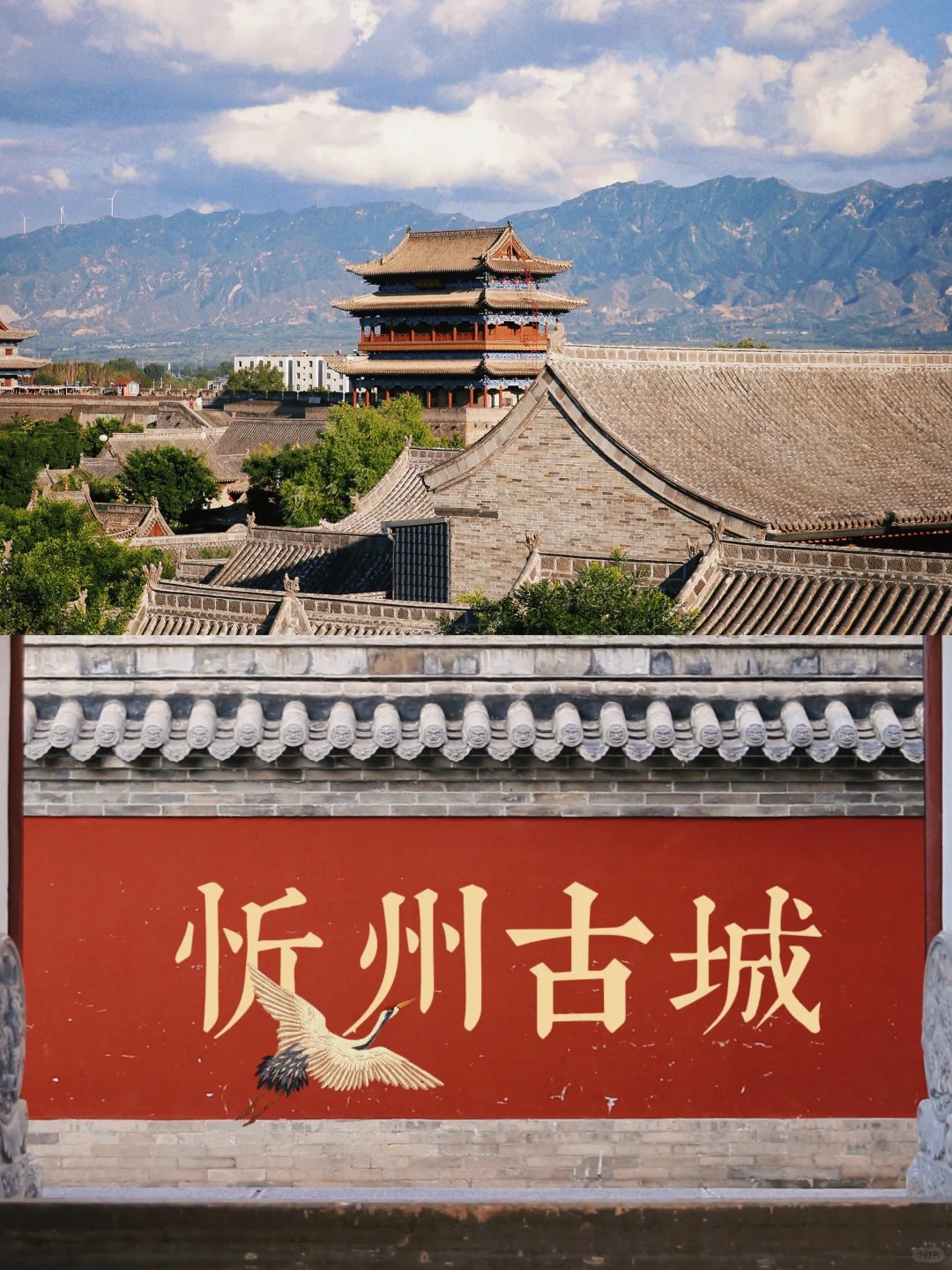 山西忻州忻府区产区