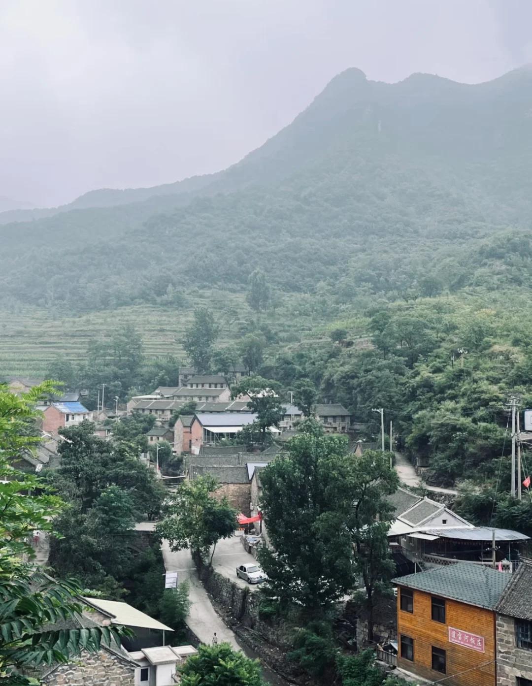山西晋城泽州县产区