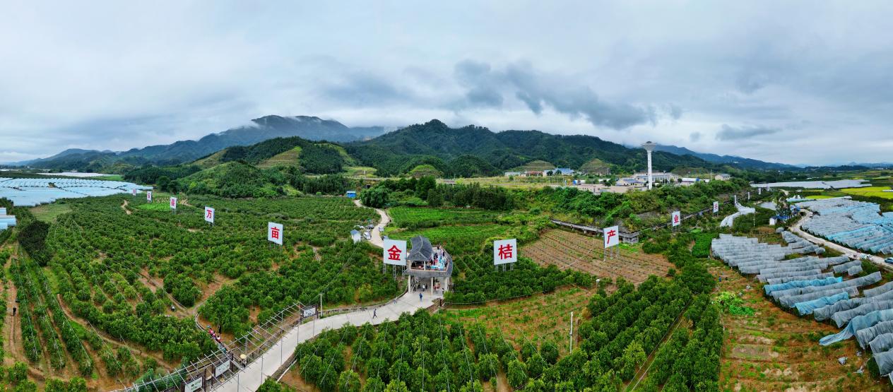 广西柳州融水苗族自治县产区