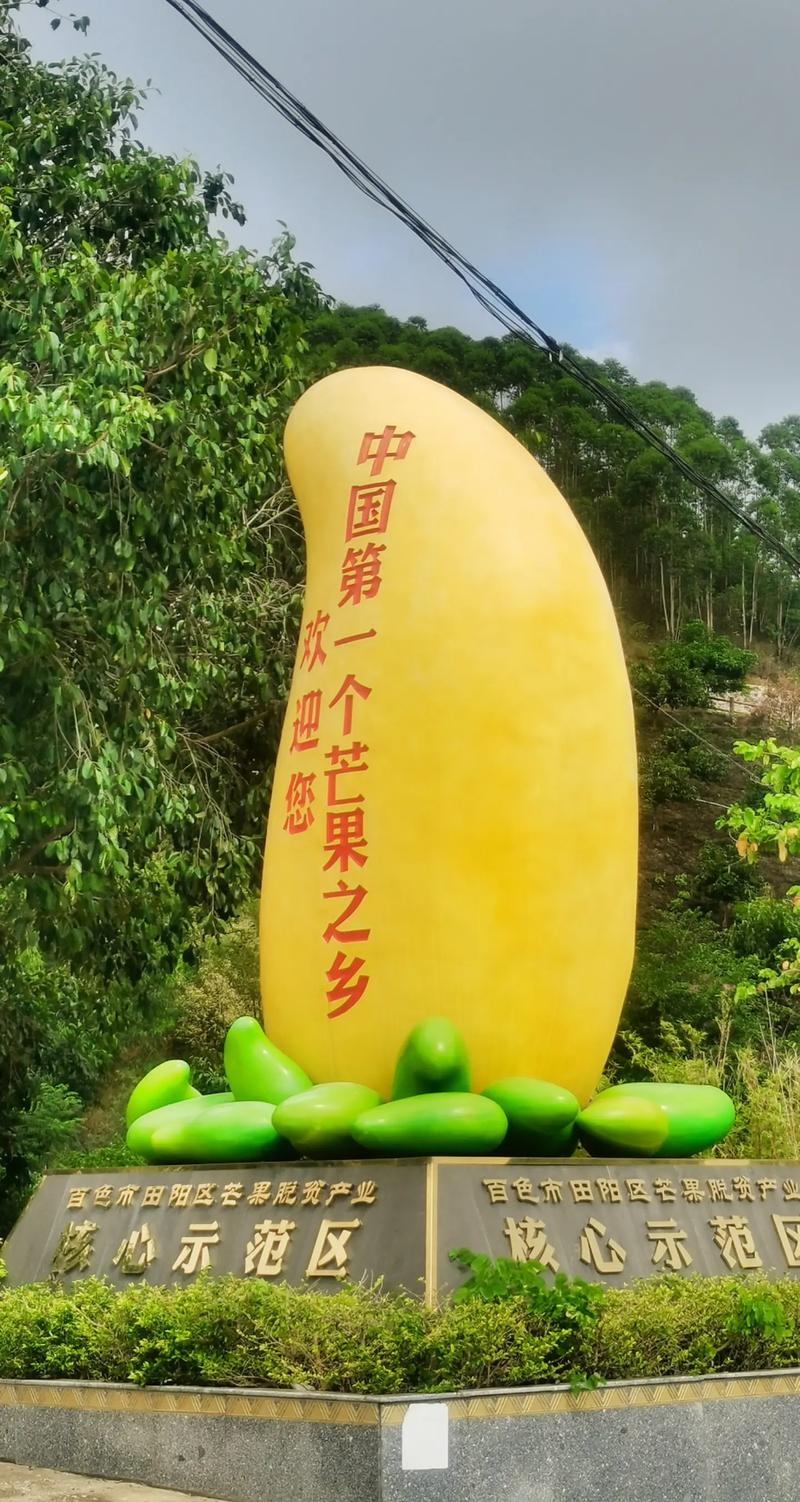 广西百色田阳区产区