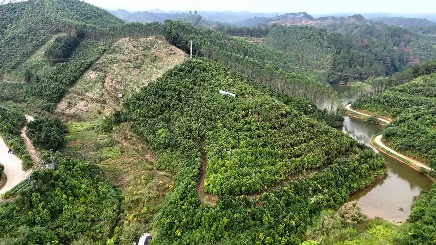广西贺州平桂区产区