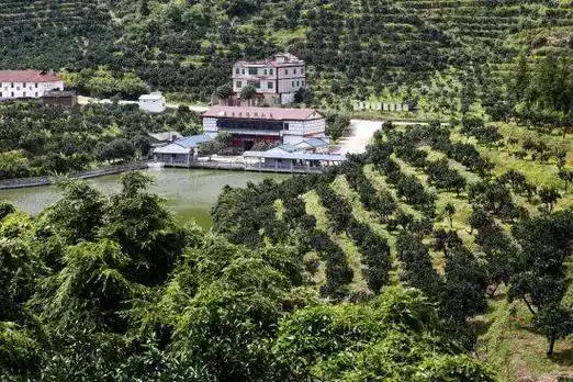 江西赣州南康区产区