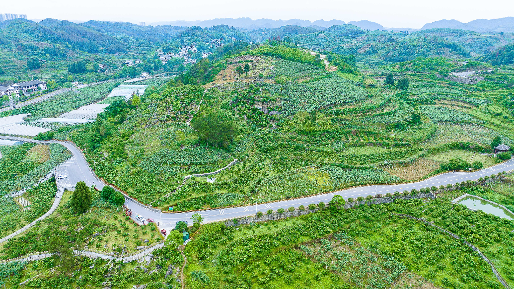 湖南湘西凤凰县产区