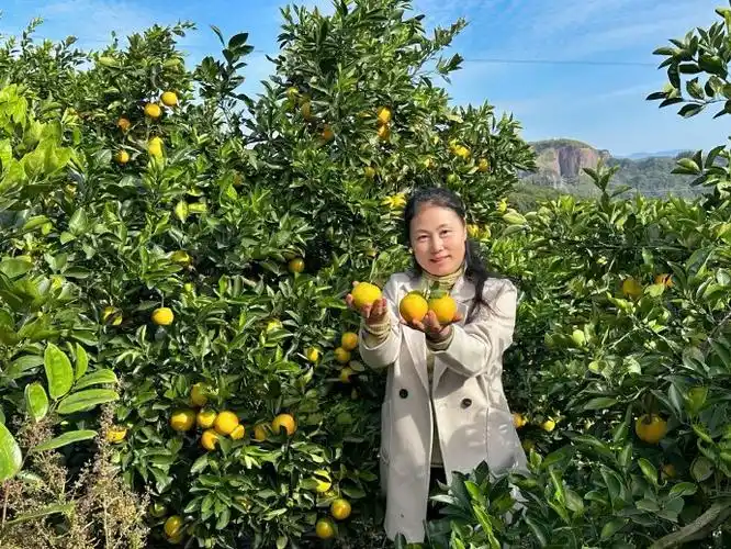 湖南郴州永兴县产区