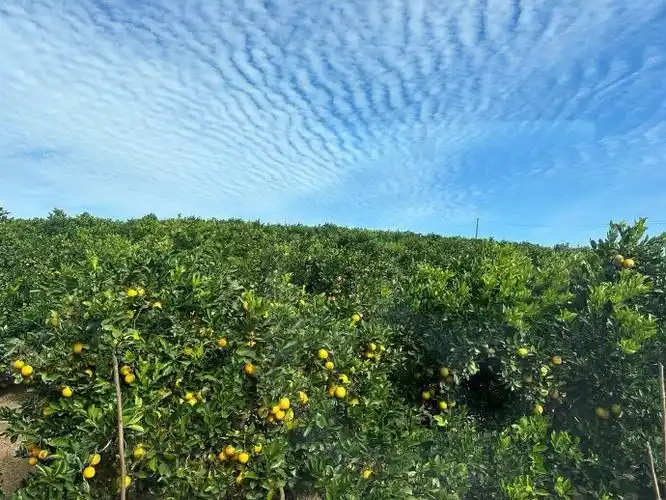 湖南郴州资兴市产区