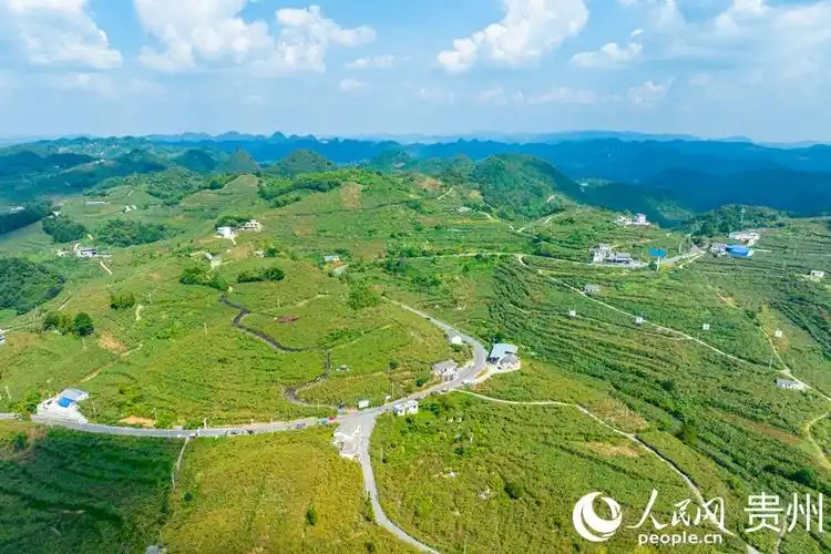 贵州贵阳修文县产区