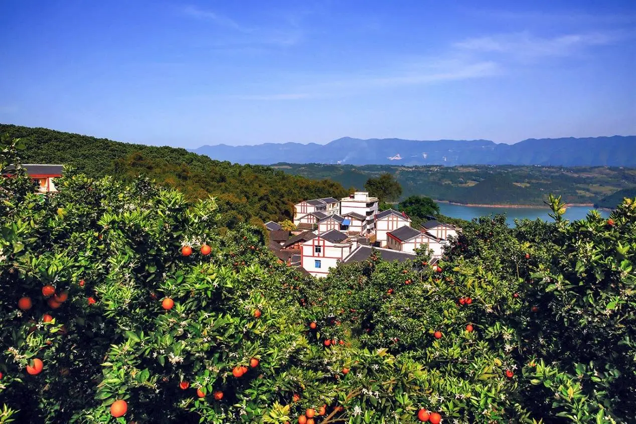 重庆垫江县产区
