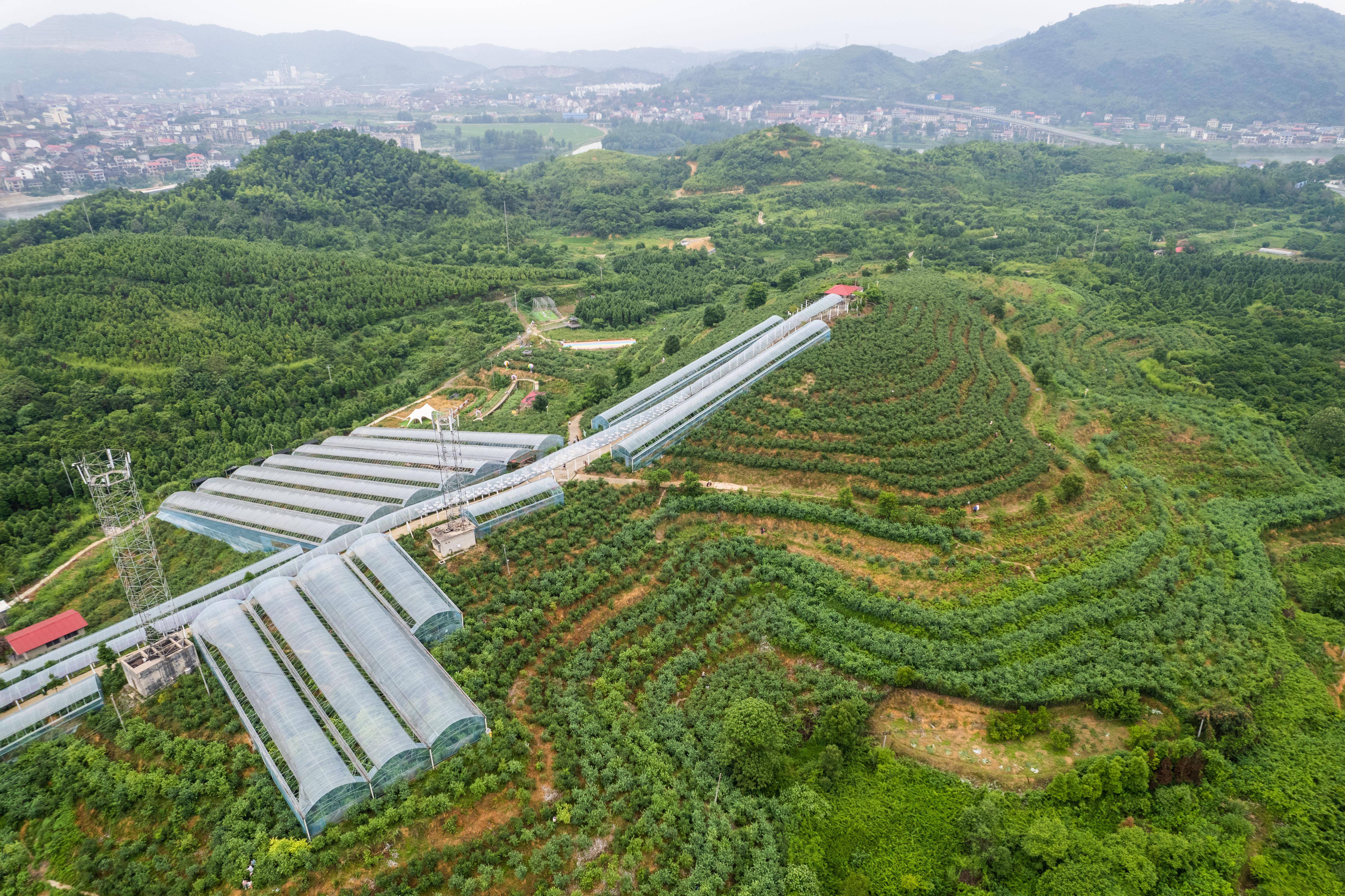 陕西西安灞桥区产区