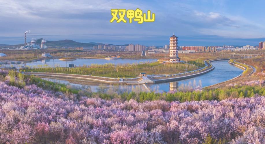 黑龙江双鸭山尖山区产区