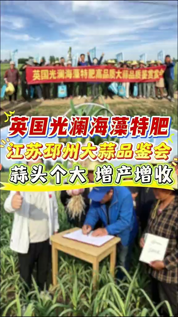 英国光澜海藻特肥高品质大蒜鉴赏会-江苏邳州站，现场揭秘，速效+长效双效结合，实拍