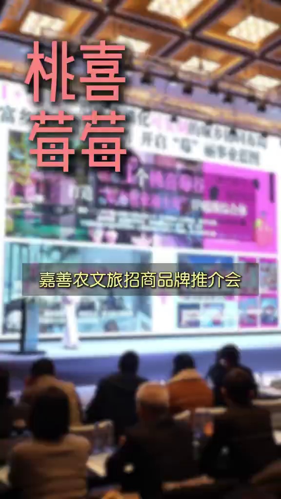 嘉善农文旅招商品牌推介会#桃喜莓好村#打破传统运营商思路