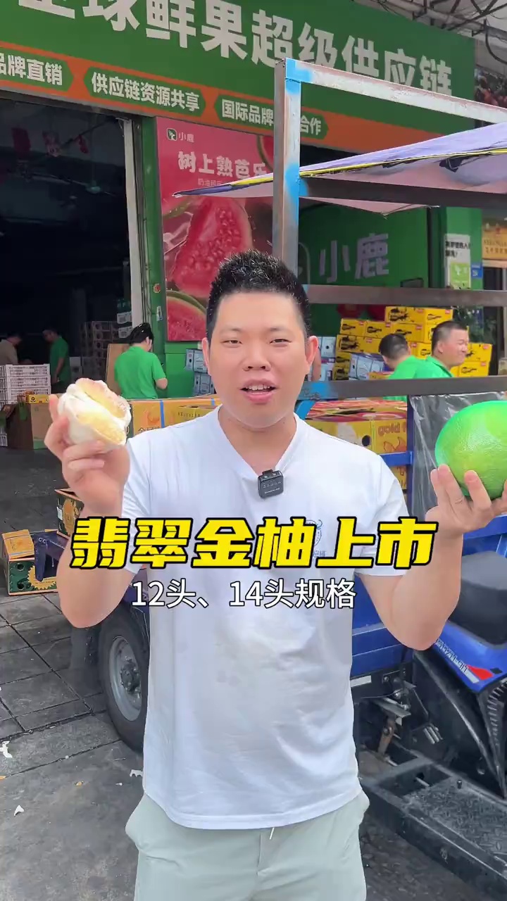 翡翠金柚去年的爆品，今天终于来啦！青皮红柚，还是那么爆汁好吃！#翡翠柚#东莞批发