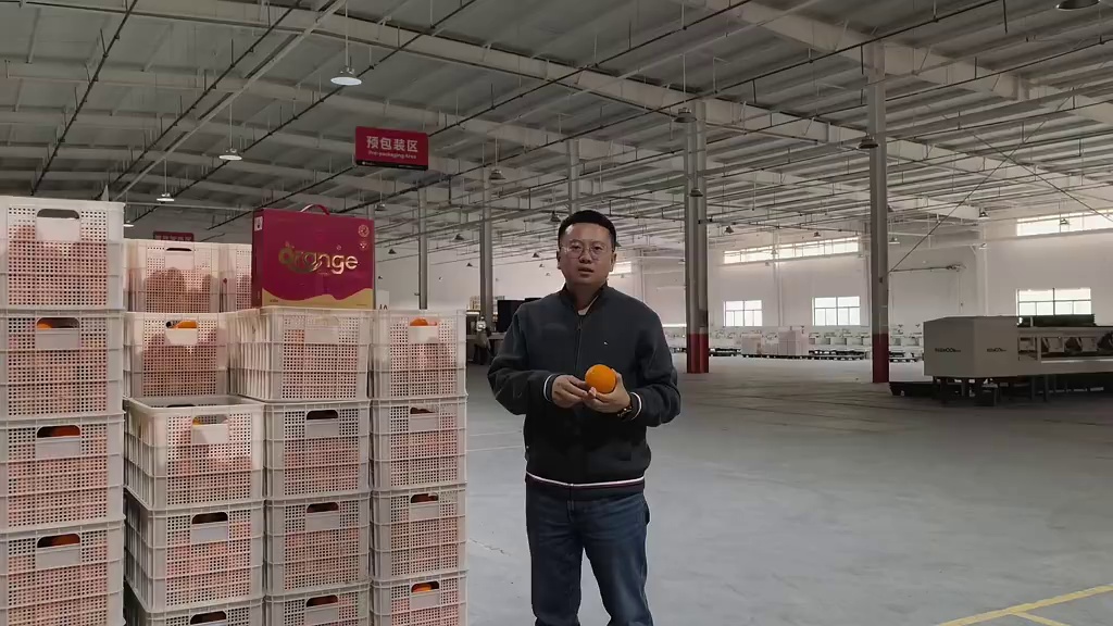 伦晚和卡拉卡拉红橙2026开始了#蔚林村长