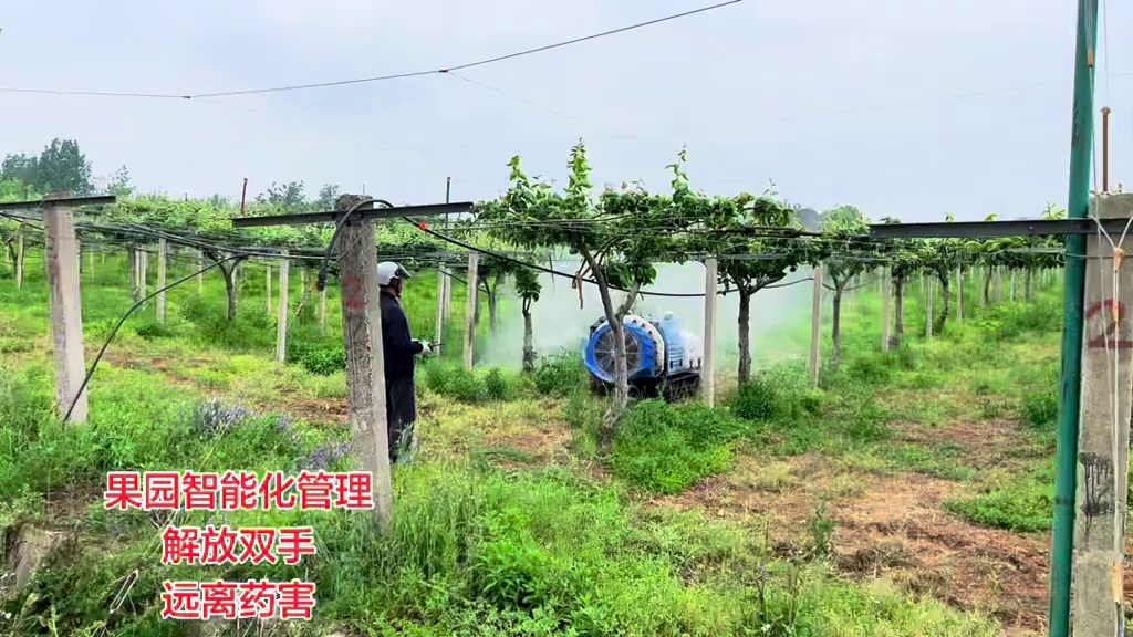 岚江科技S450果园机器人，高龄工人也能轻松上手的设备✌️
#农机作业 #果树打