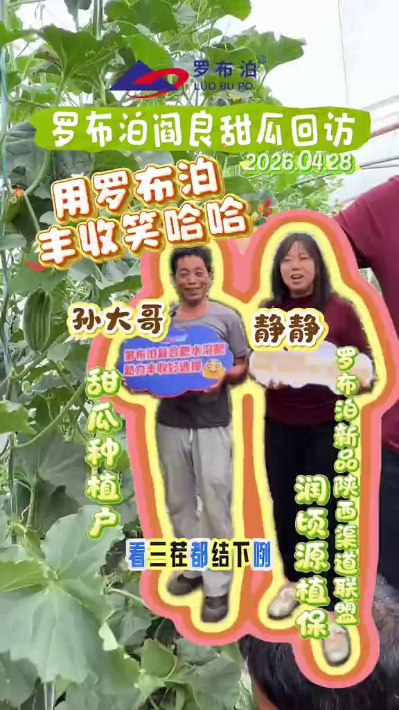 从田间到口碑：阎良甜瓜施用罗布泊方案全记录，丰收喜悦藏不住🥳