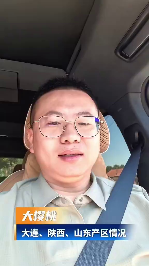 村长今日广播📢三点！大连大樱桃产区最新情况，陕西大樱桃产区情况，山东大樱桃产区最