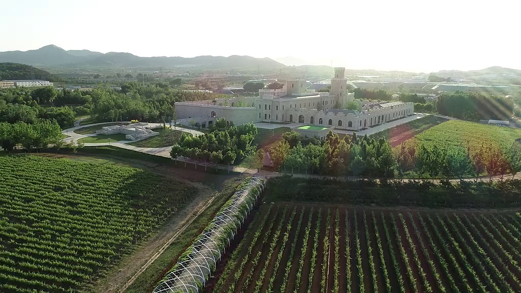 耐特菲姆在张裕酿酒葡萄庄园建设的精准灌溉系统已稳定运转11年，通过控制系统的升级