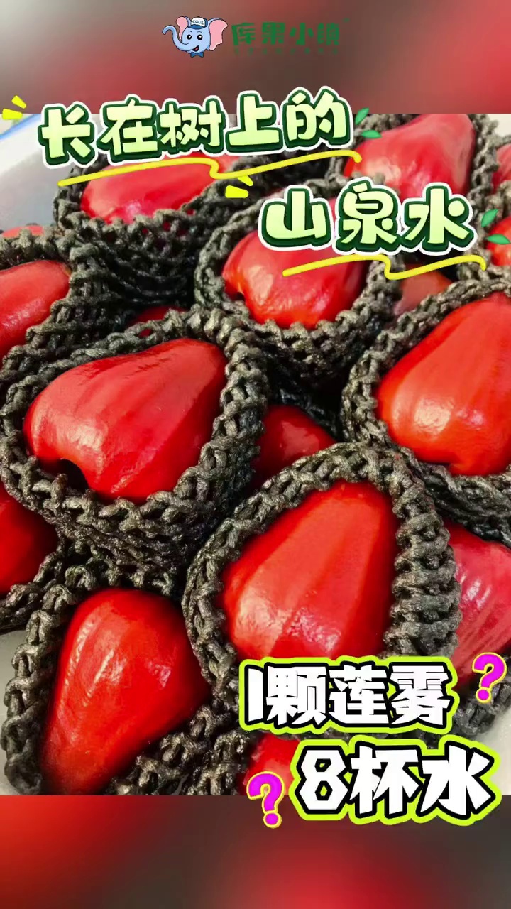 清甜爽脆‼️汁水丰沛👈干燥天气来一颗莲雾🍃犹如八杯水的滋润💧食用率高❤️天然解热