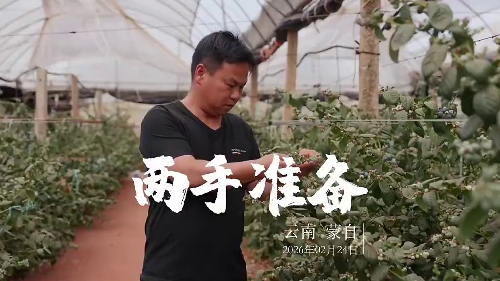 云南水果产区的悖论：种啥啥好，火啥啥垮。种植者必须作两手准备#花果飘香#杰士农科