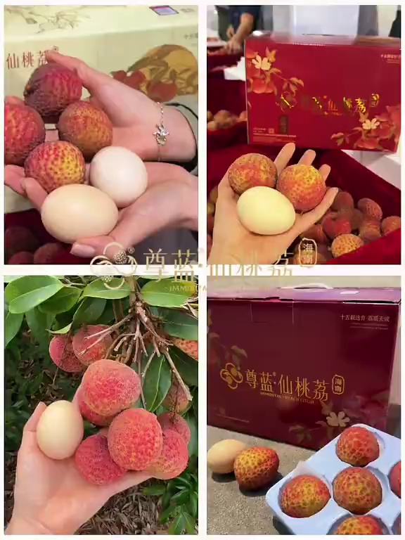 这个夏天，大胆迎接让你“库咚库咚”心动的仙桃荔！
从口到心，由内而外，全速出发，