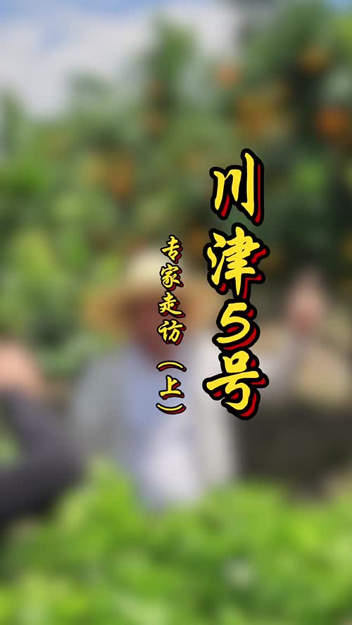 视频封面