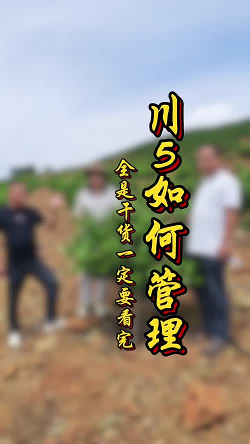 视频封面