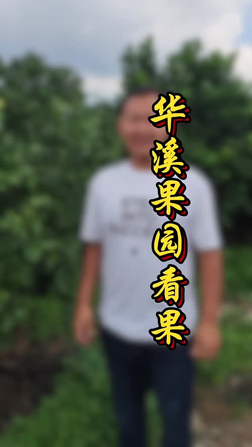 视频封面