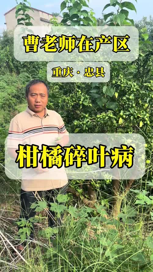 视频封面