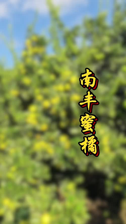视频封面