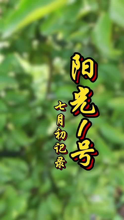 视频封面