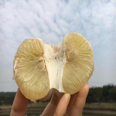 复兴苹果柚