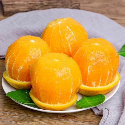 麻阳冰糖橙