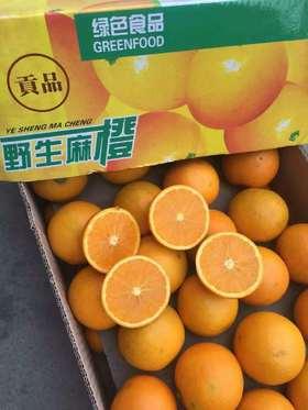 麻阳冰糖橙
