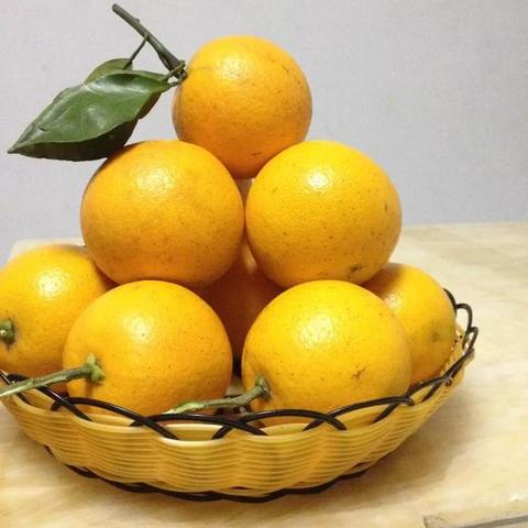 黔阳冰糖橙