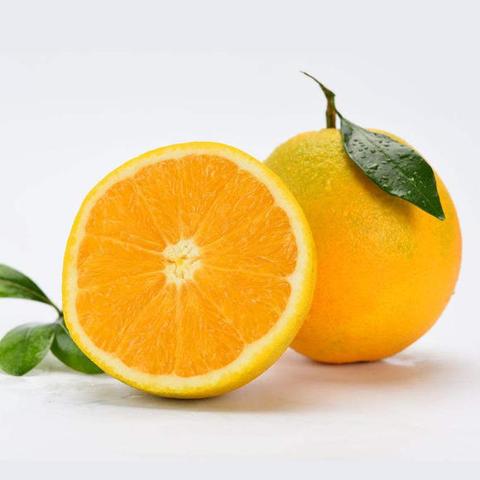 黔阳冰糖橙
