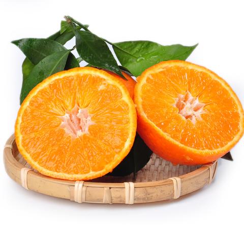 东江湖蜜桔
