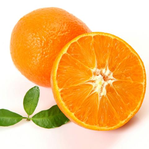 东江湖蜜桔