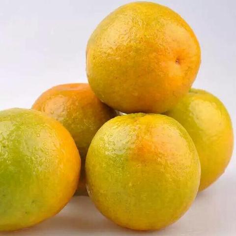 秭归夏橙