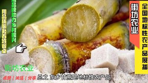 东乡甘蔗