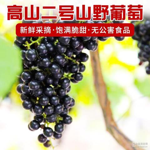 露峰山葡萄