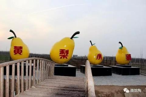 南乐黄梨