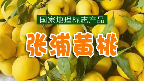 张浦黄桃