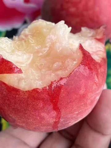 凤凰水蜜桃