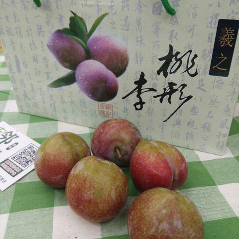 嵊州桃形李