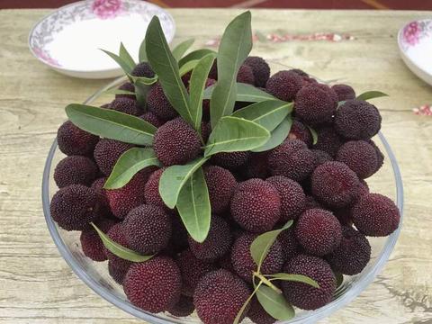 兰溪杨梅